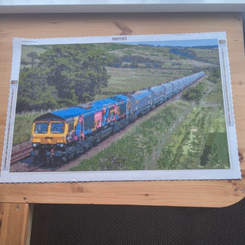 Customer photo review of Custom Diamond Painting