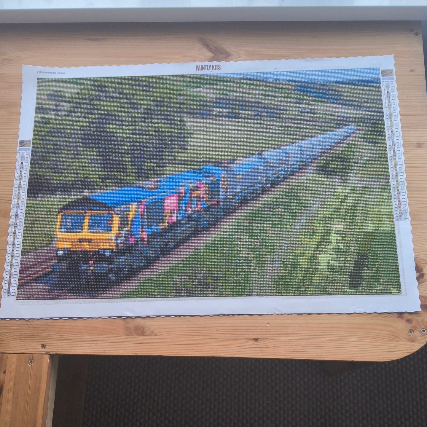Customer photo review of Custom Diamond Painting