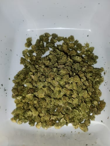 Customer's GMO trim, a pile of small, green, ground cannabis flower pieces sitting in a white container.