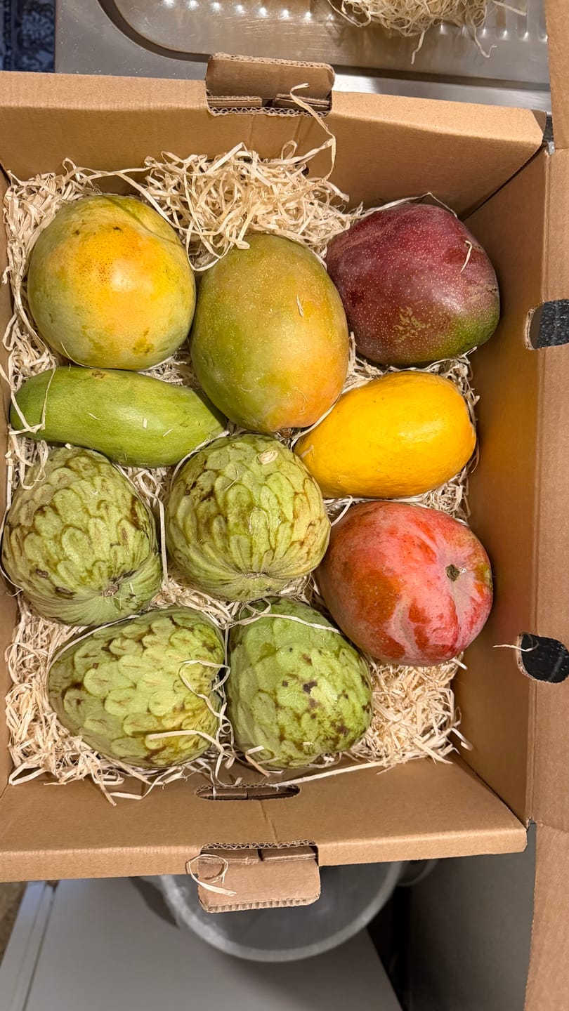 Customer photo review of Ugly Mangobox