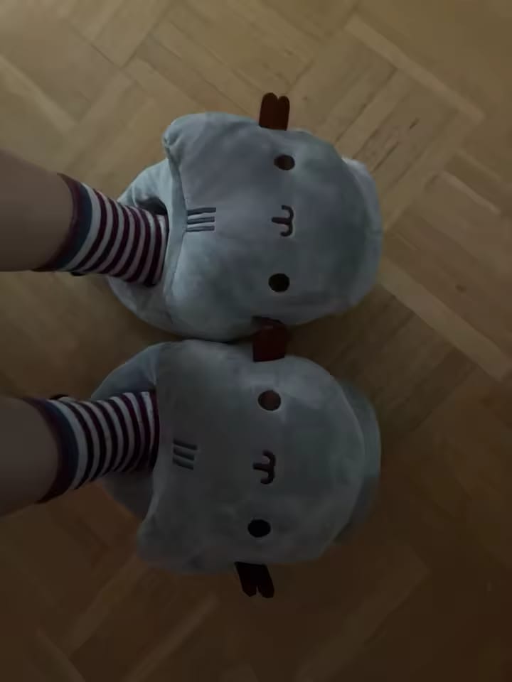 Customer photo review of Chaussons Chat Gris