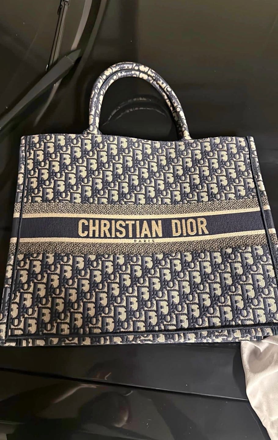 Customer photo review of Oblique Book Tote