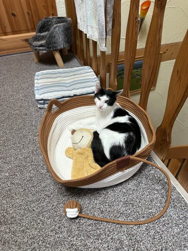 Customer's Fellnest Katzenkorb in a white and brown rope design, containing a black and white cat and a plush toy.