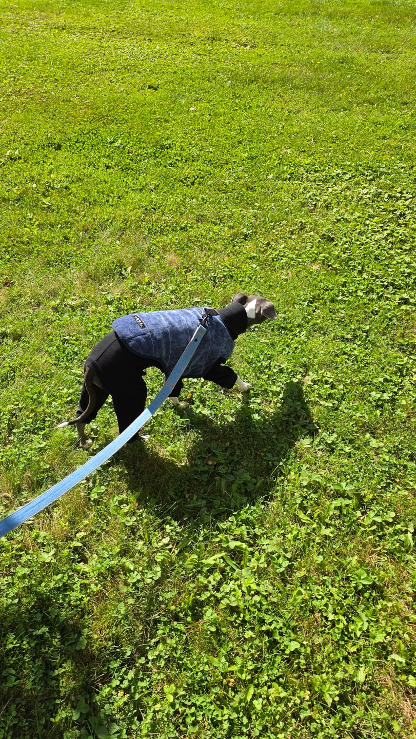 Customer photo review of Golden Corduroy Adventure Vest