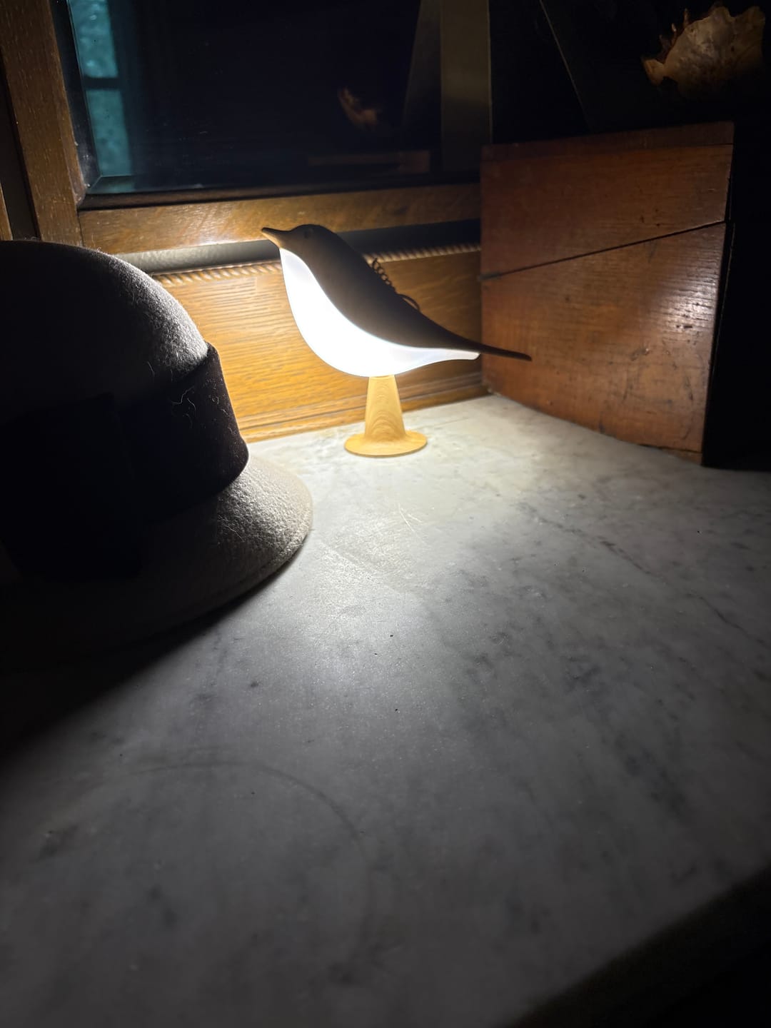 Customer photo review of Glow Bird