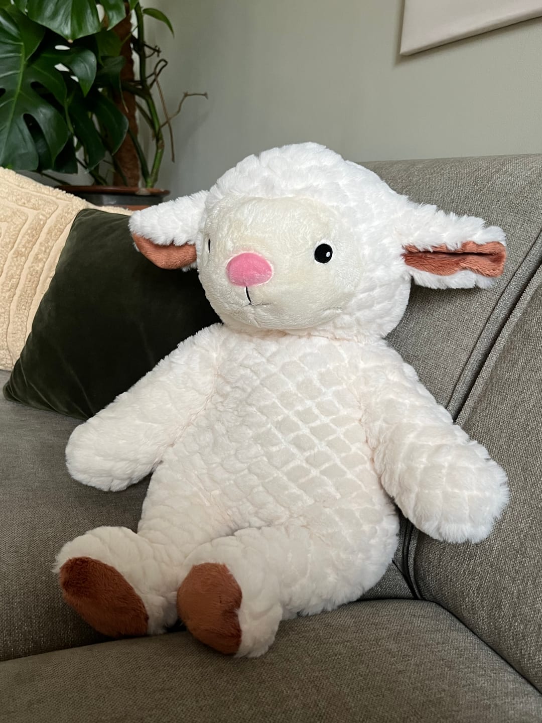 Customer photo review of Lotgenootje Schaap 2kg