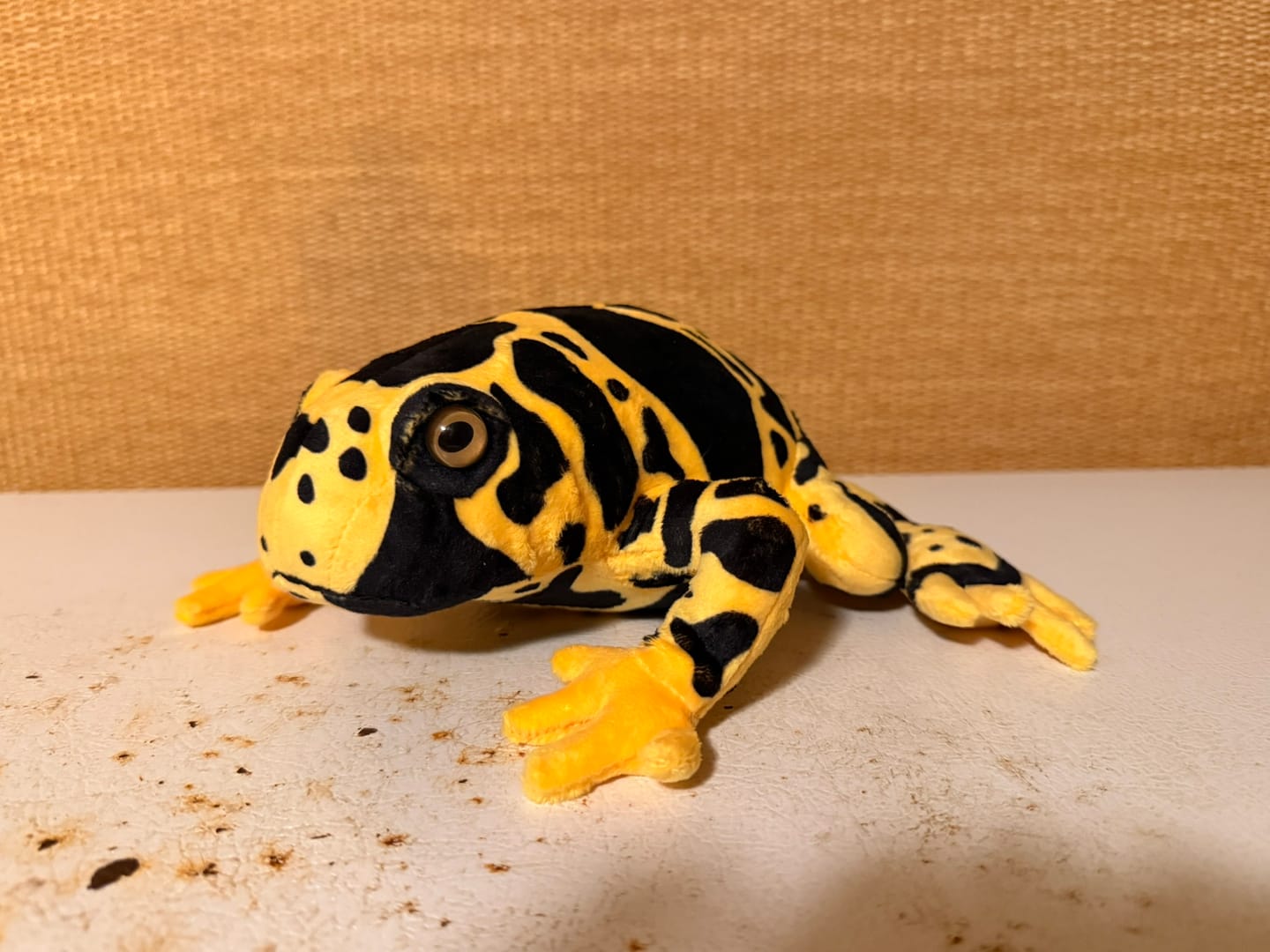Customer photo review of Poison Dart Frog Soft Stuff Plush Toy