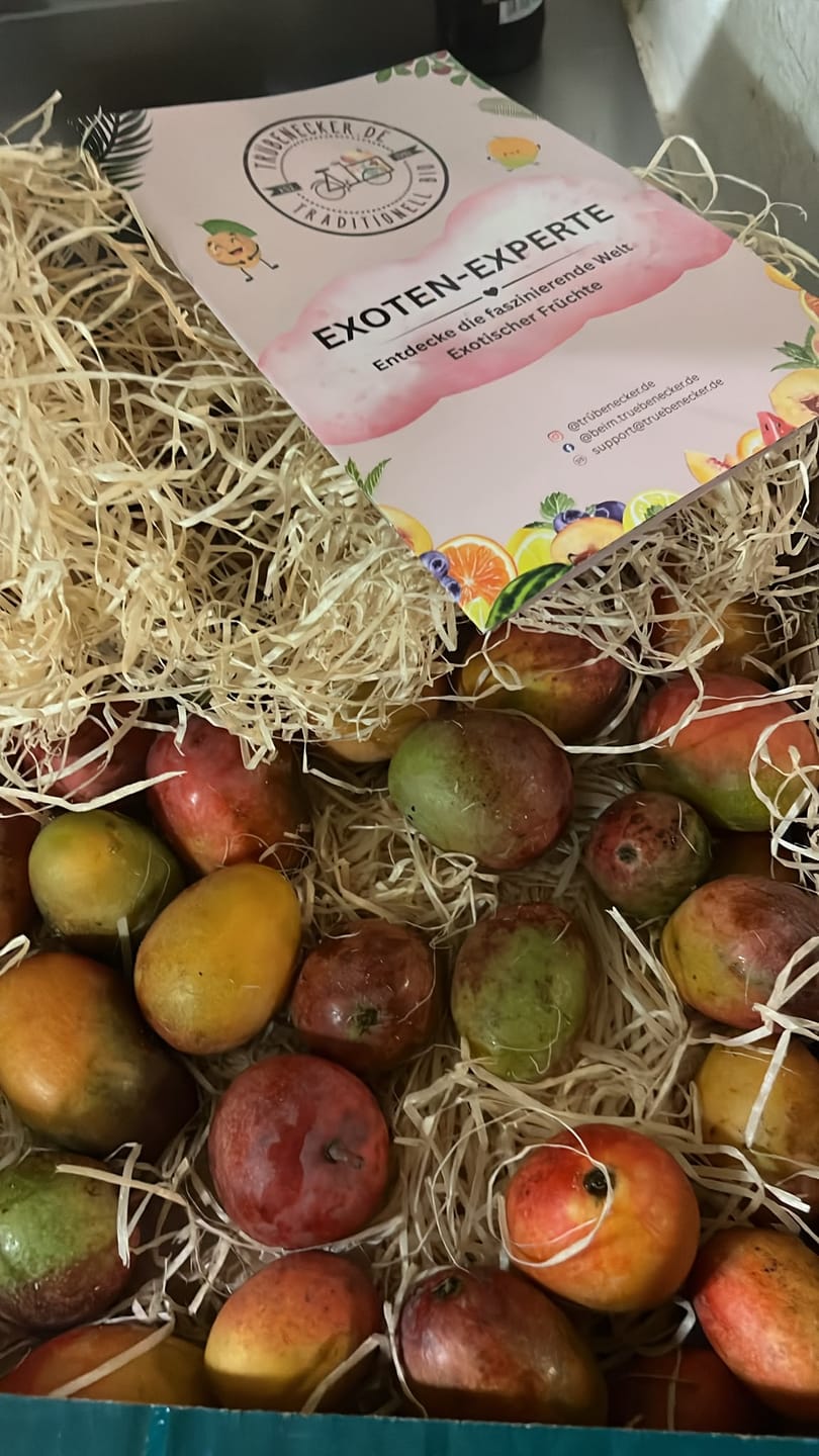 Customer photo review of Mango Irwin Bio von Jaime Aktionspreis %