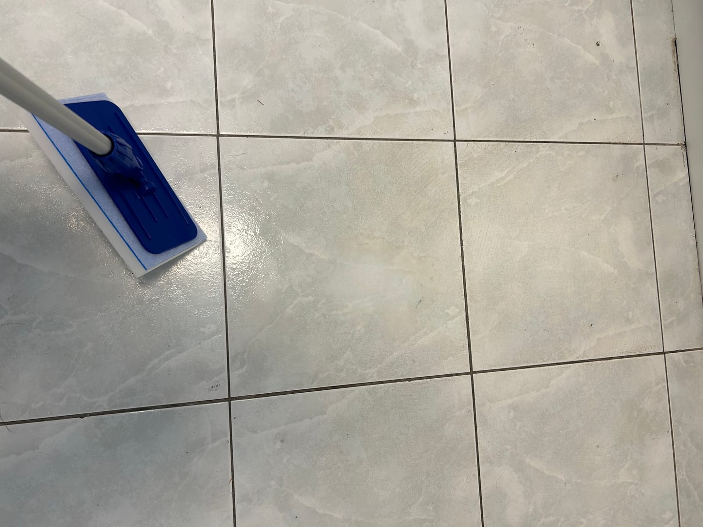 Customer photo review of SHYN Degreaser