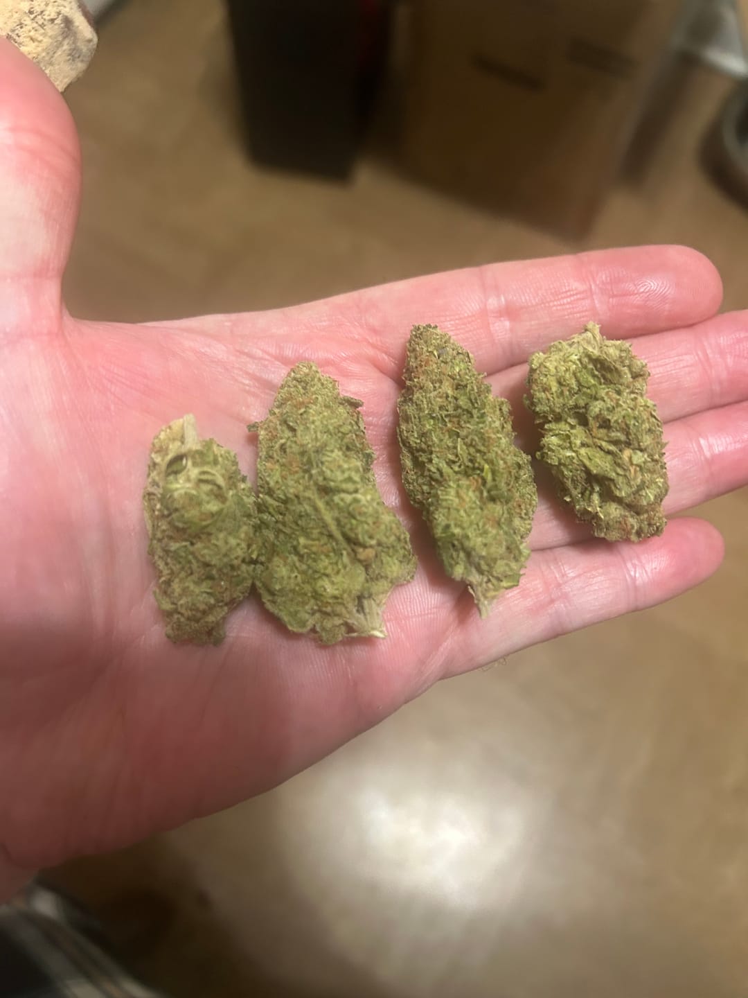 Customer photo review of Gluetopia THCA Flower
