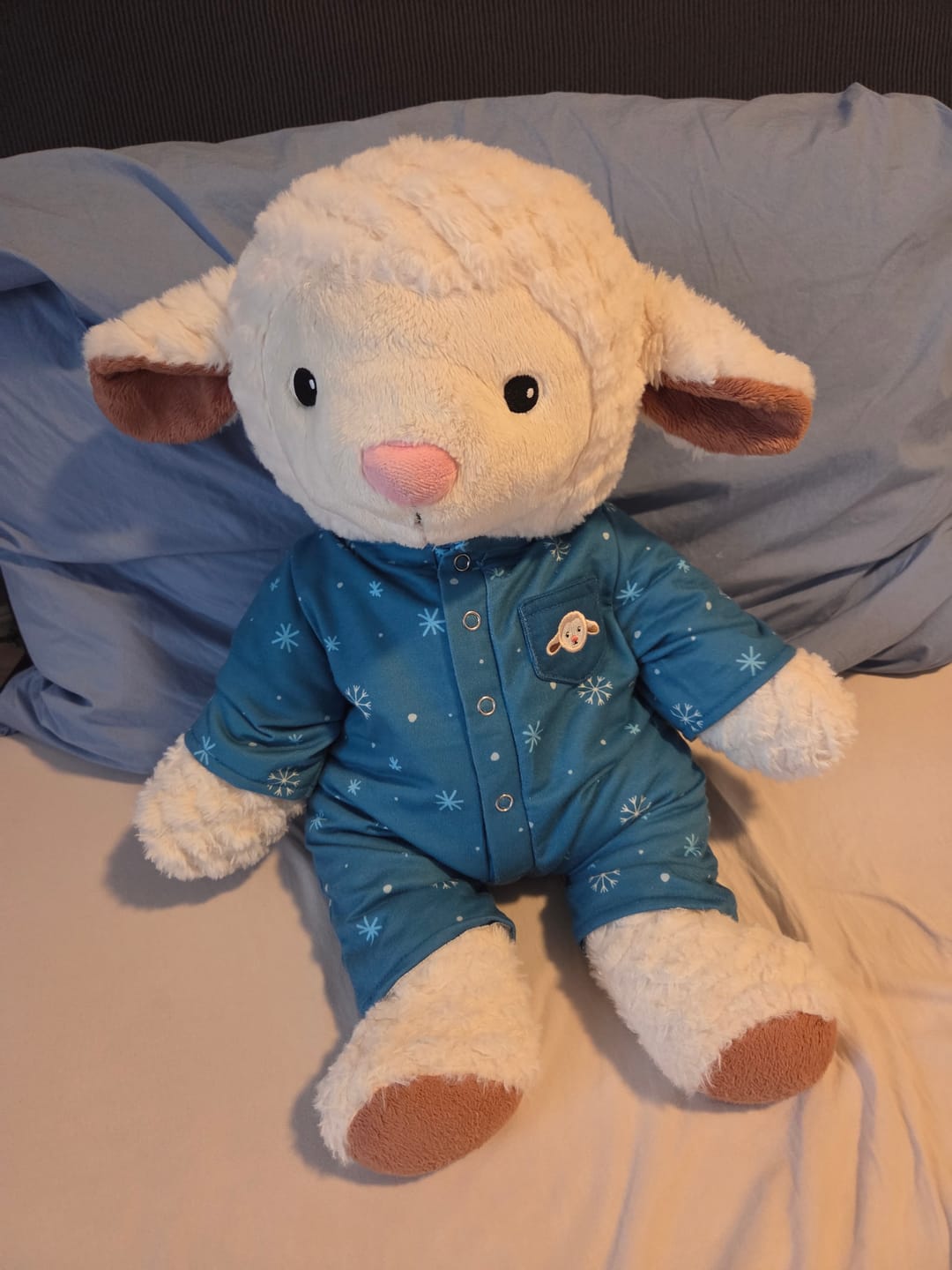 Customer photo review of Schaap Kleding Winter Lotgenootje