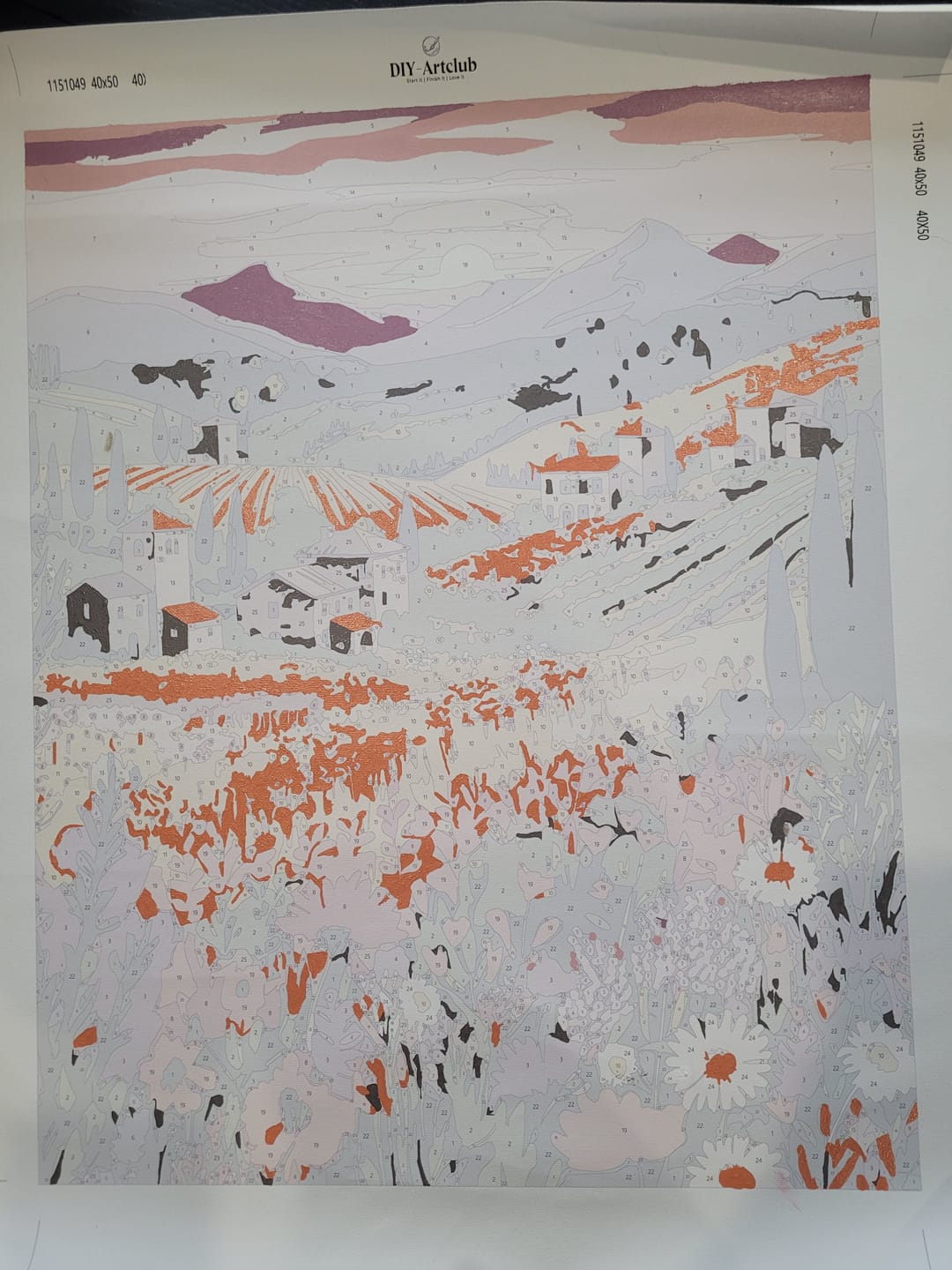 Customer photo review of Wildflower landscape | Paint by Number