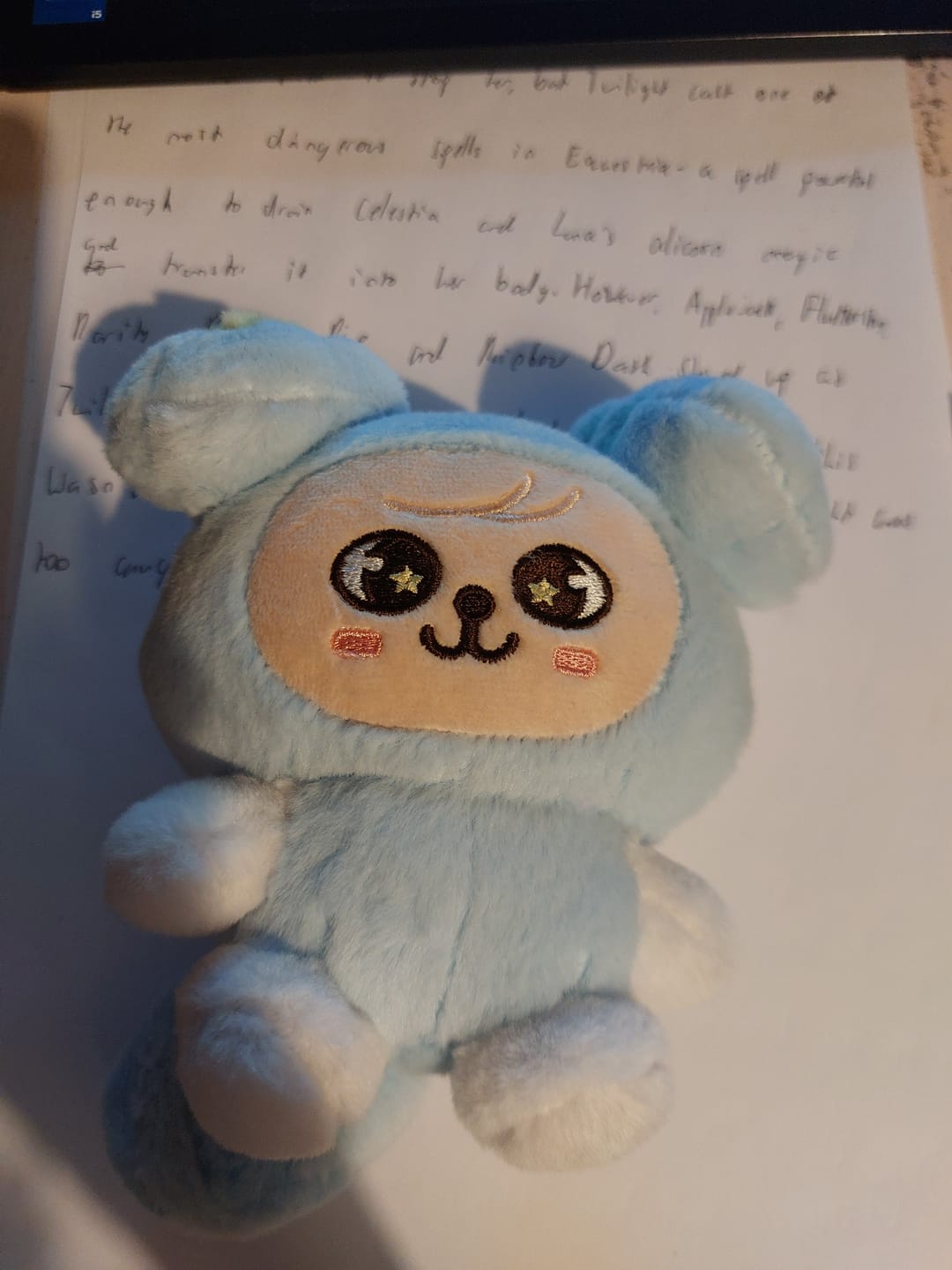 Customer photo review of SKZ RUN IT Plush in TASY