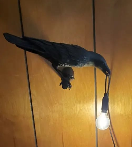 Customer photo review of Resin Bird Sculpture Swag Light, Plug In, 33 cm Wide