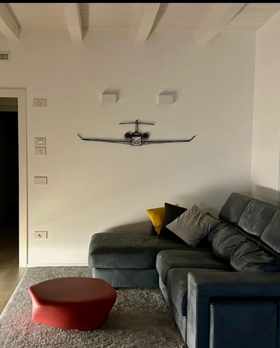 Customer photo review of Global 7500 Front Silhouette Metal Wall Art