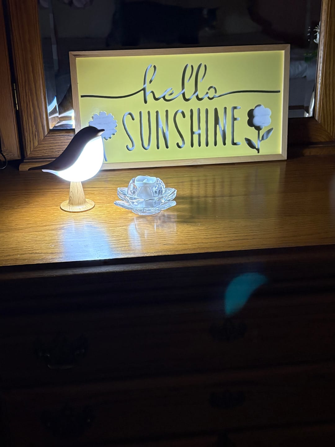 Customer photo review of Glow Bird
