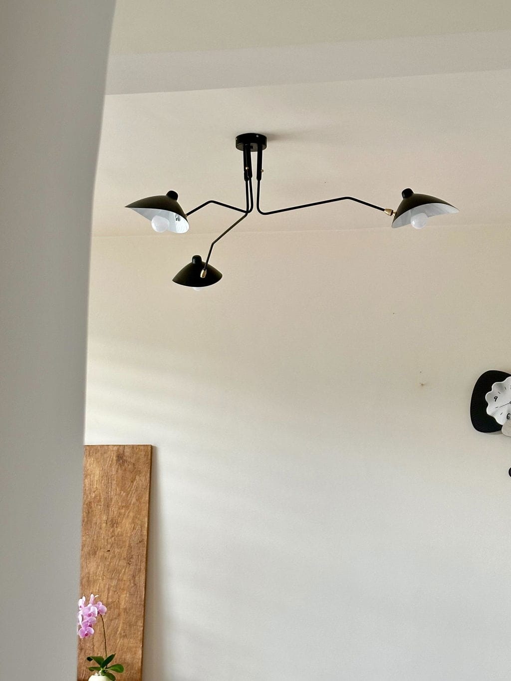 Customer photo review of Brass Ball-Joint Ceiling Light, 3 or 5 Arms, Black or White