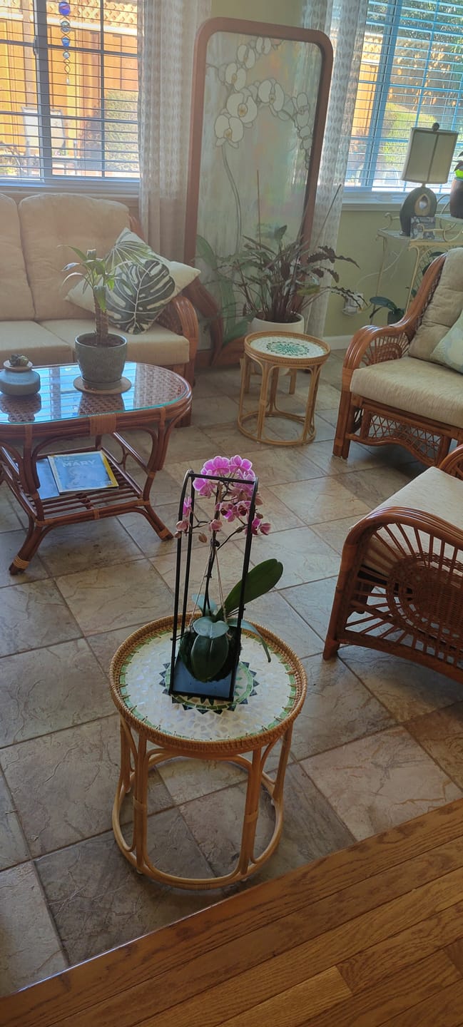 Customer photo review of Oasis Rattan Table