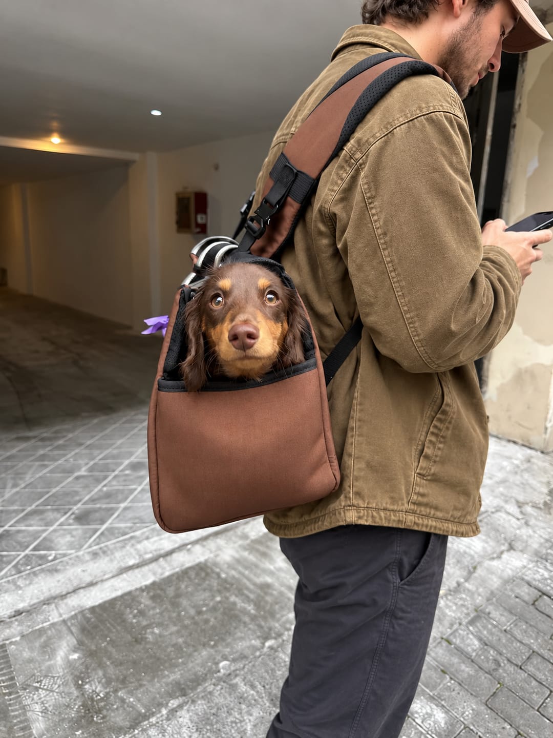 Customer photo review of Dachshund Carrier Backpack – Extra-Long Design with Removable Support Cushion
