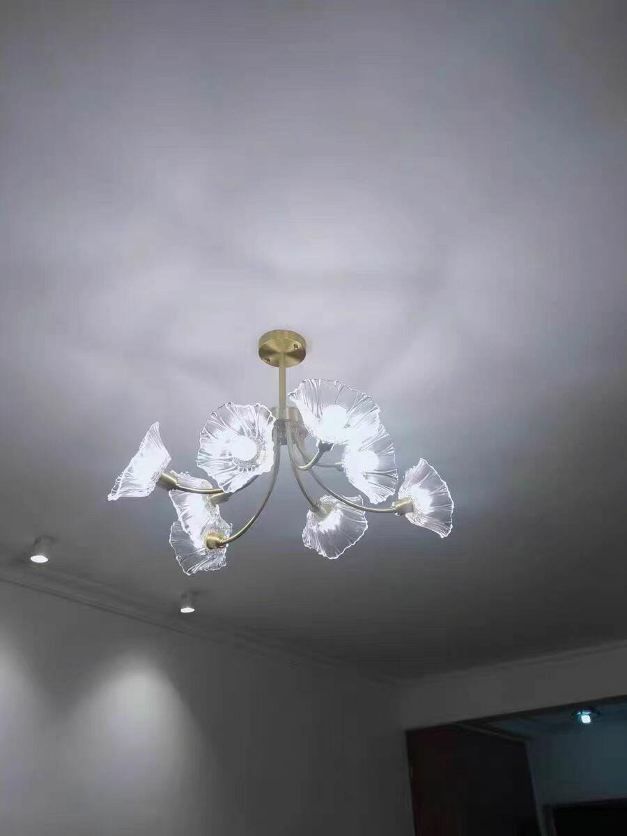 Customer photo review of Brass Chandelier, Clear Glass Petal Shades, 3 to 8 Heads