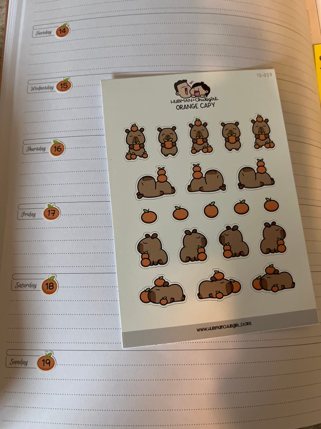 Customer photo review of Orange Capy Planner Stickers