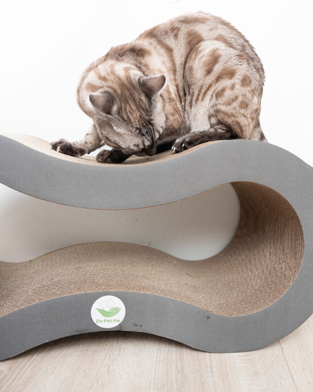 Customer photo review of Katzenliege Infinity Lounge L