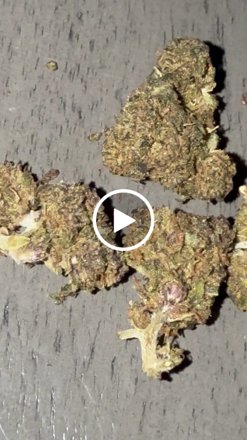 Customer video review of 1 Oz Cheap CBD Small Buds