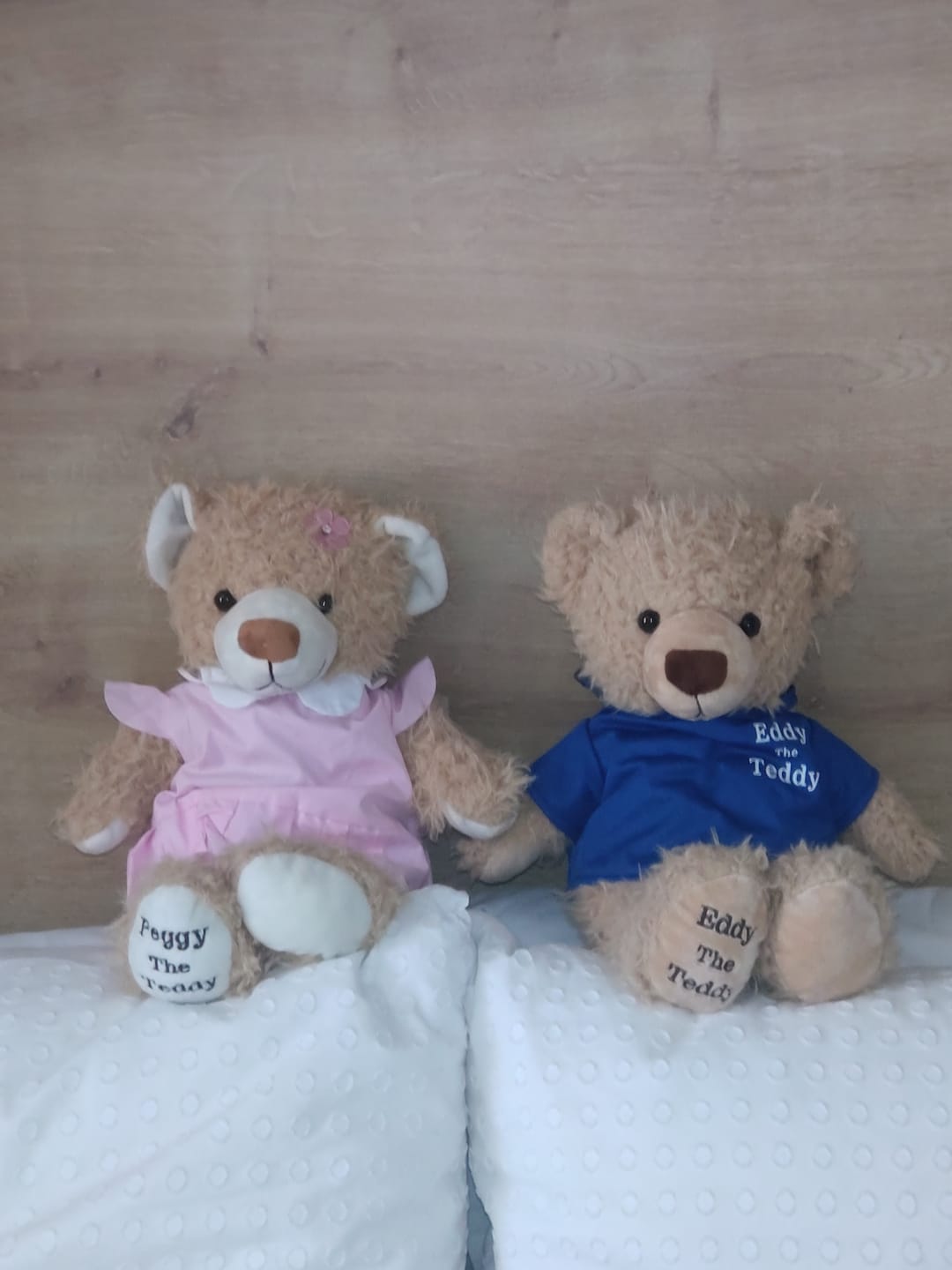 Customer photo review of Eddy The Teddy Bear