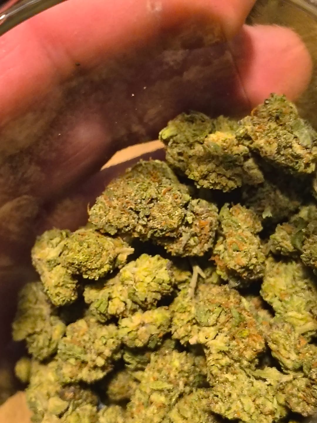 Customer photo review of Biscotti THCA Flower (Budget)