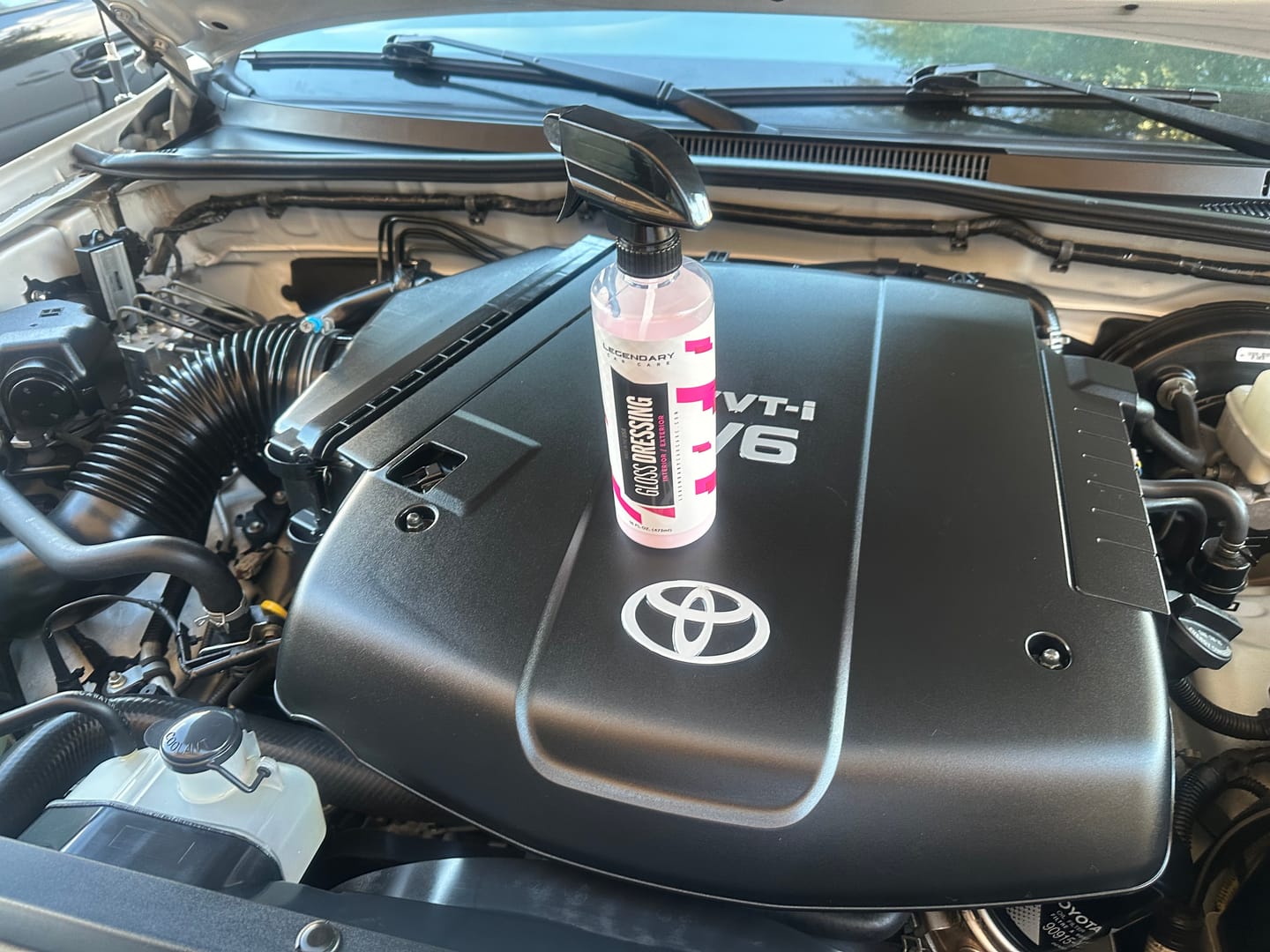 Customer photo review of Gloss Dressing