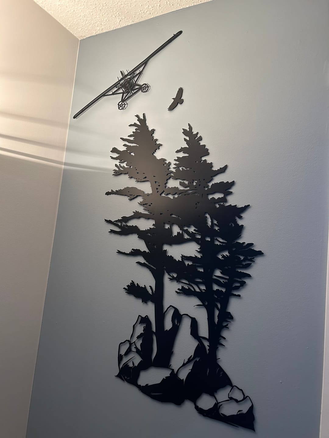 Customer photo review of DHC-2 Beaver Front Silhouette Metal Wall Art