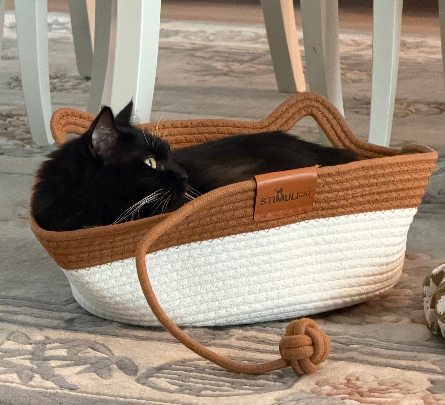 Customer photo review of Instinct Basket | Meet the first research-backed natural territory for indoor cats
