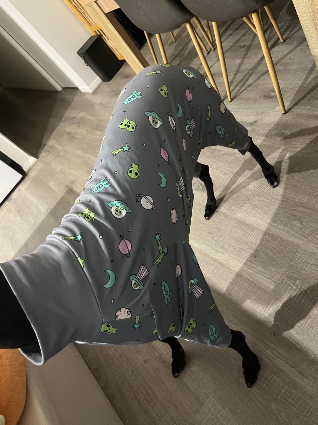 Customer photo review of Dog Pajama - Alien