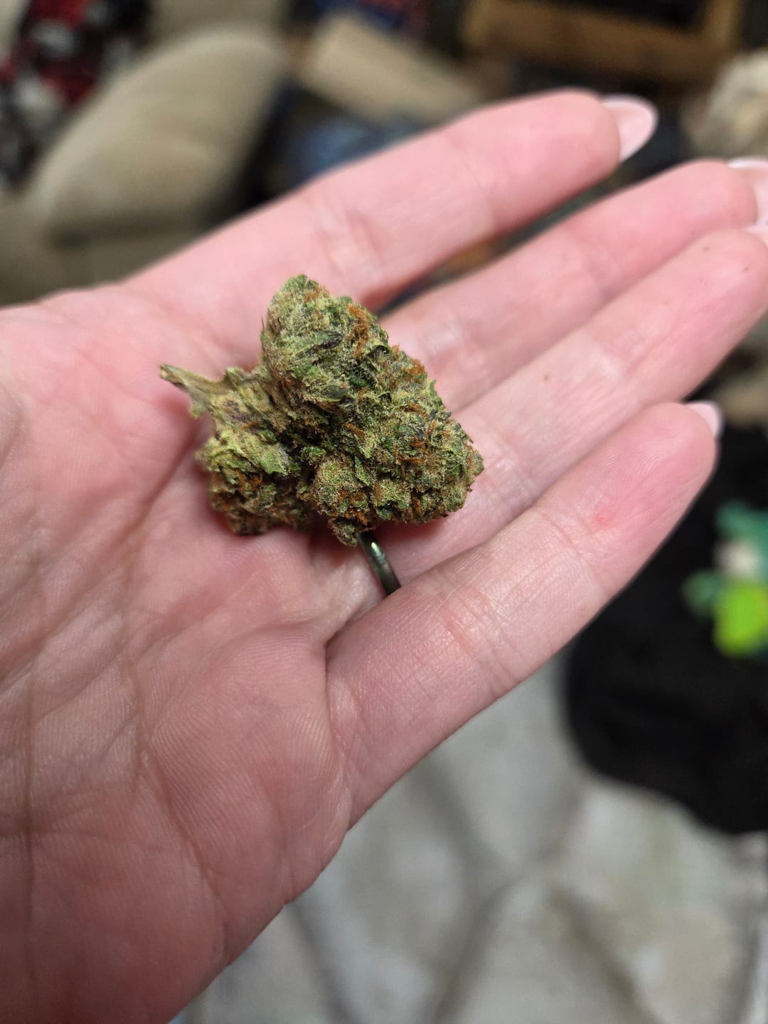 Customer photo review of THCA Queen