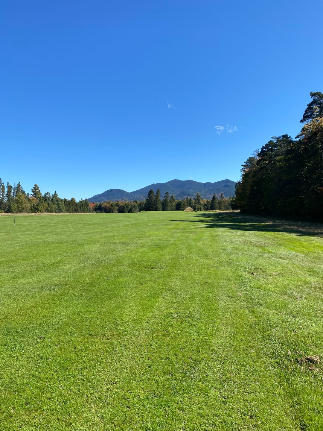 Customer photo review of Hot Launch Max D #7 Ironwood Demo Offer