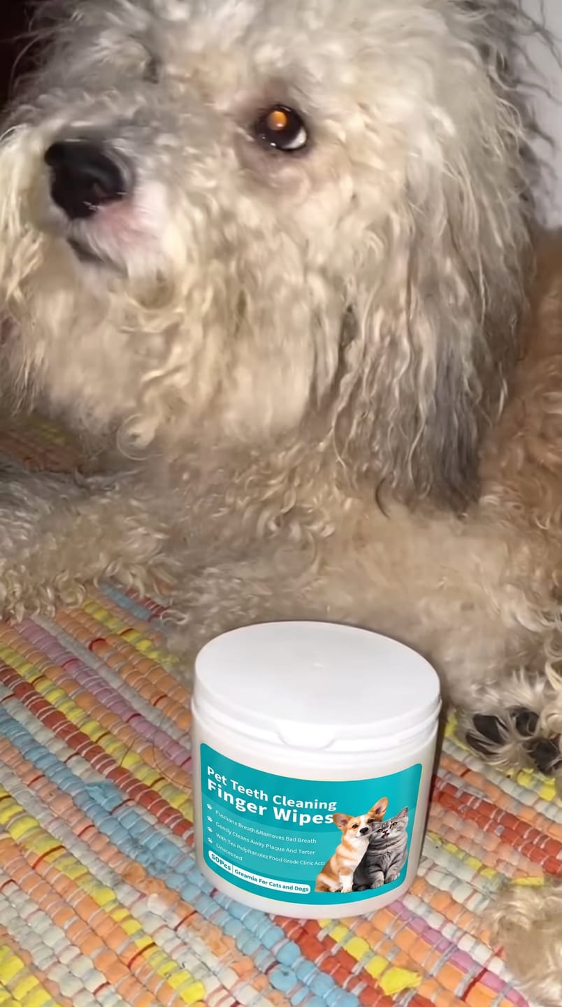 Customer photo review of Toallitas dentales para mascotas