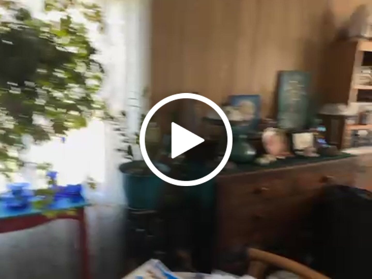 Customer video review of Ancient Soil Organic Living Soil
