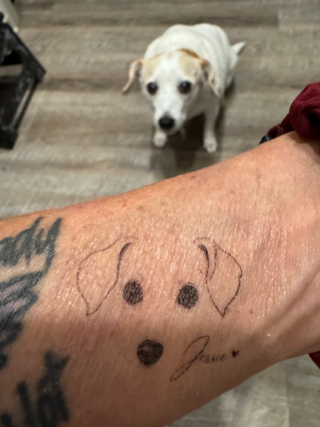 Customer photo review of Fine Line Minimalist - Personalized Pet Tattoo