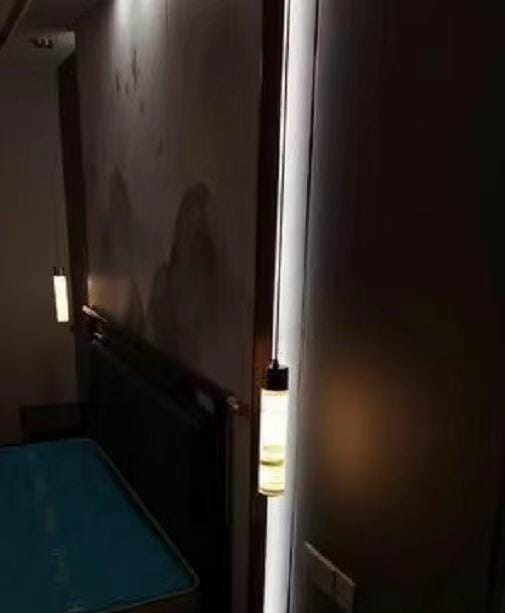 Customer photo review of Alabaster Tube Pendant Light, Brass or Black, Integrated LED