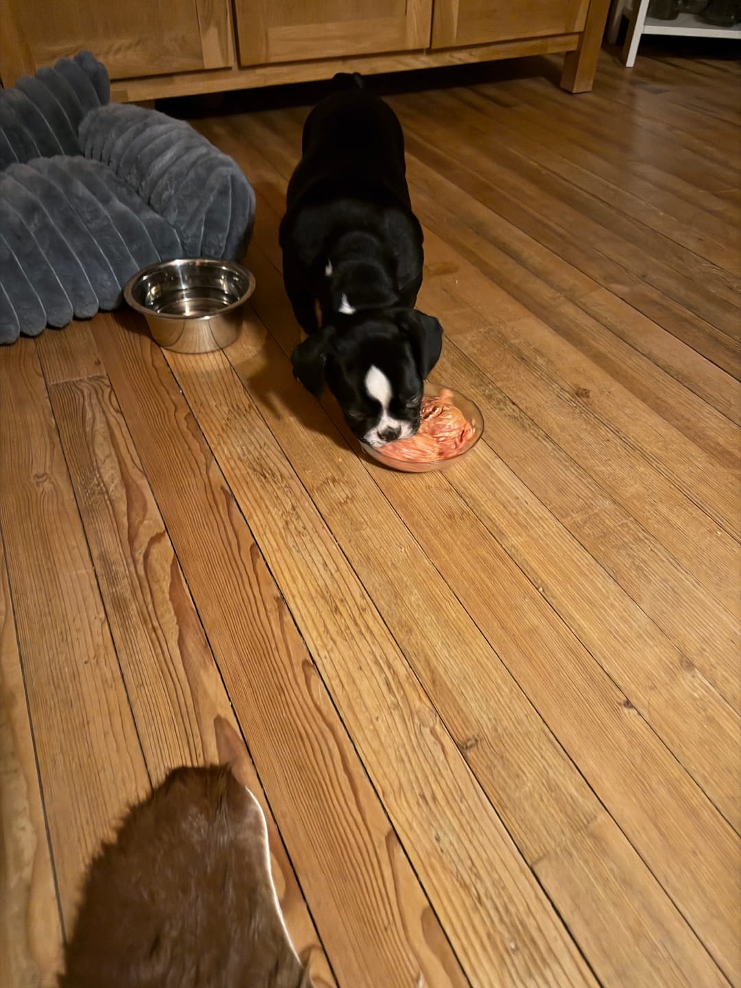 Customer photo review of Nutridog Menu Deluxe Poulet pro Wurst 250g ab 4.40.-