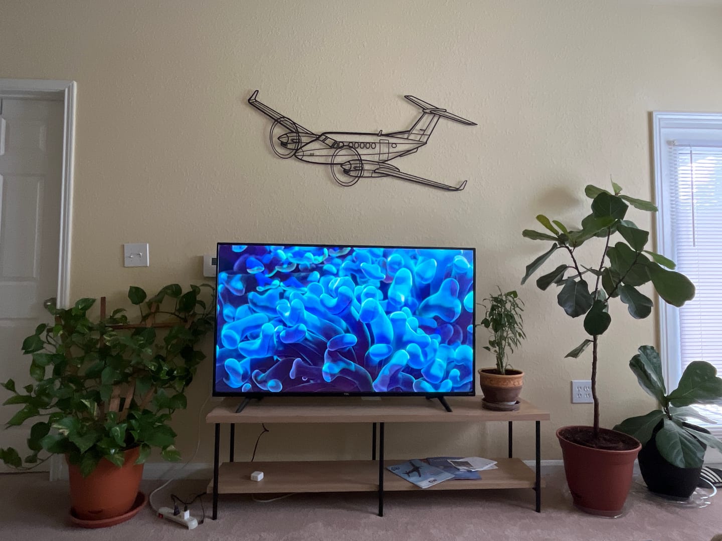 Customer photo review of Shipping Insurance