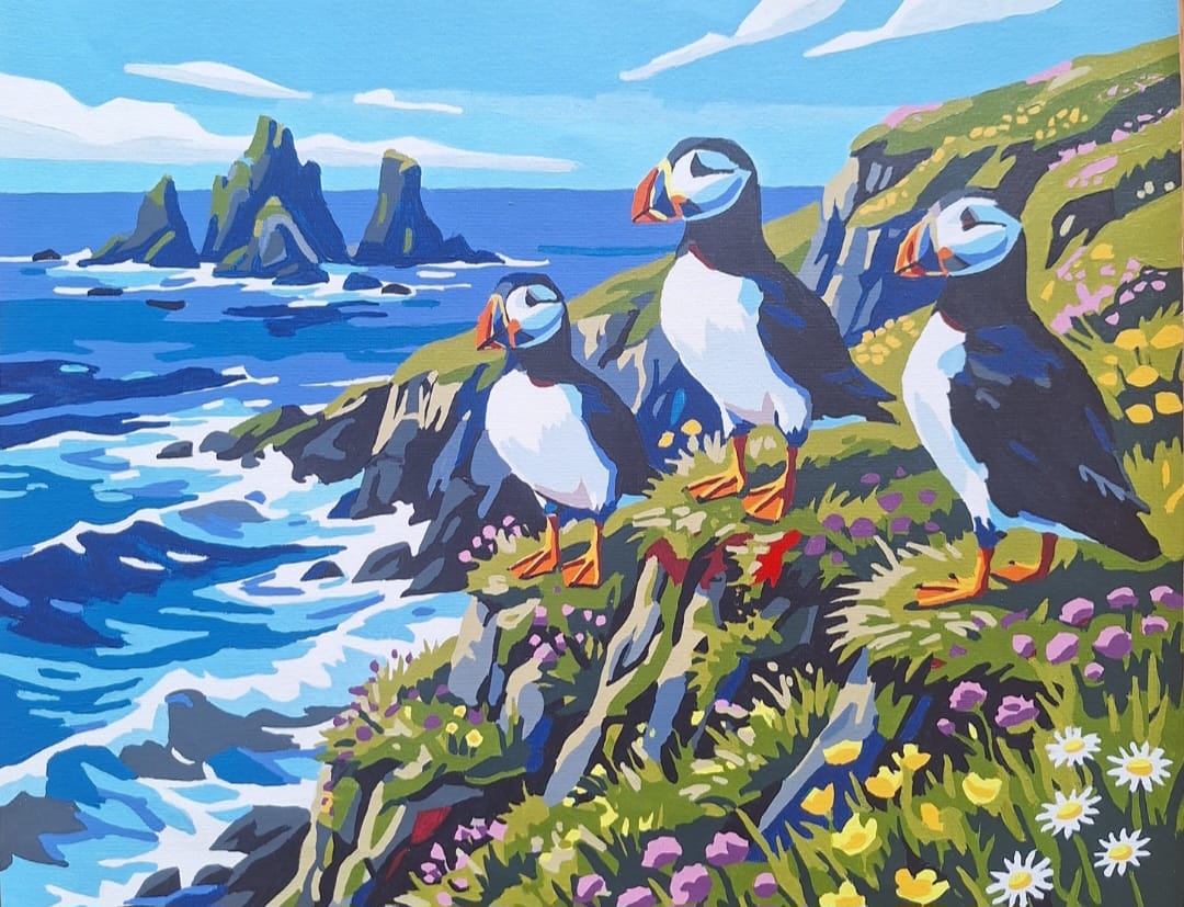 Customer photo review of Puffins Party