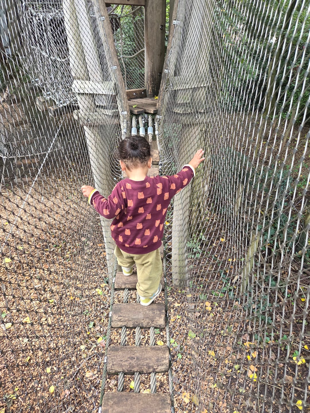Customer photo review of Brown Bears Reversible Easy Rider Jacket