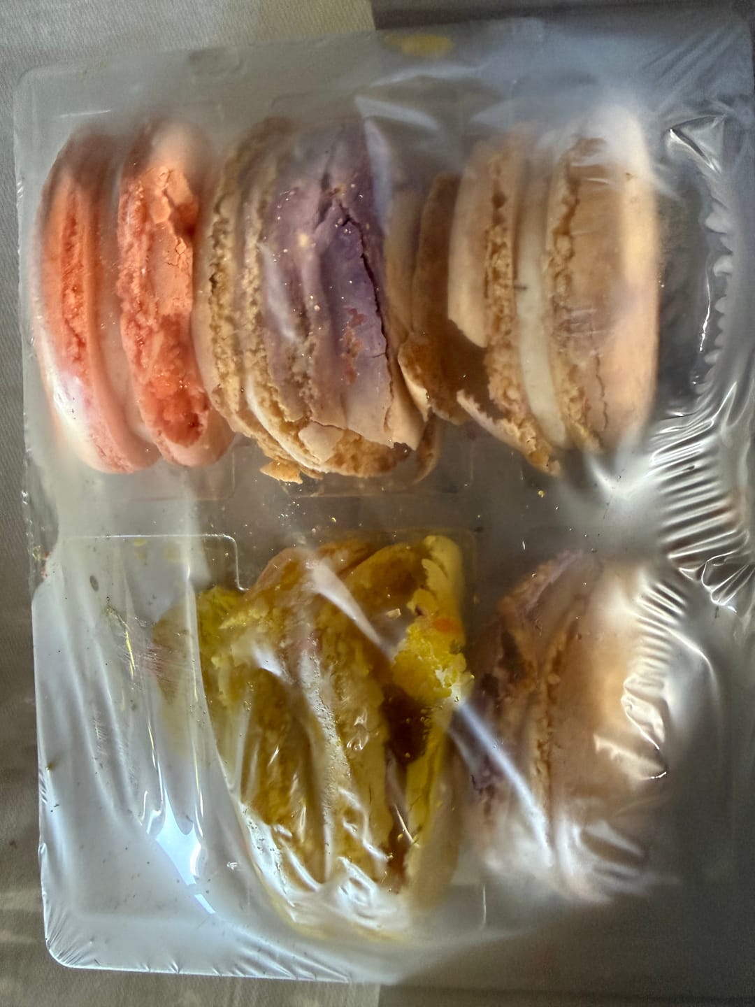 Customer photo review of 12 Pack