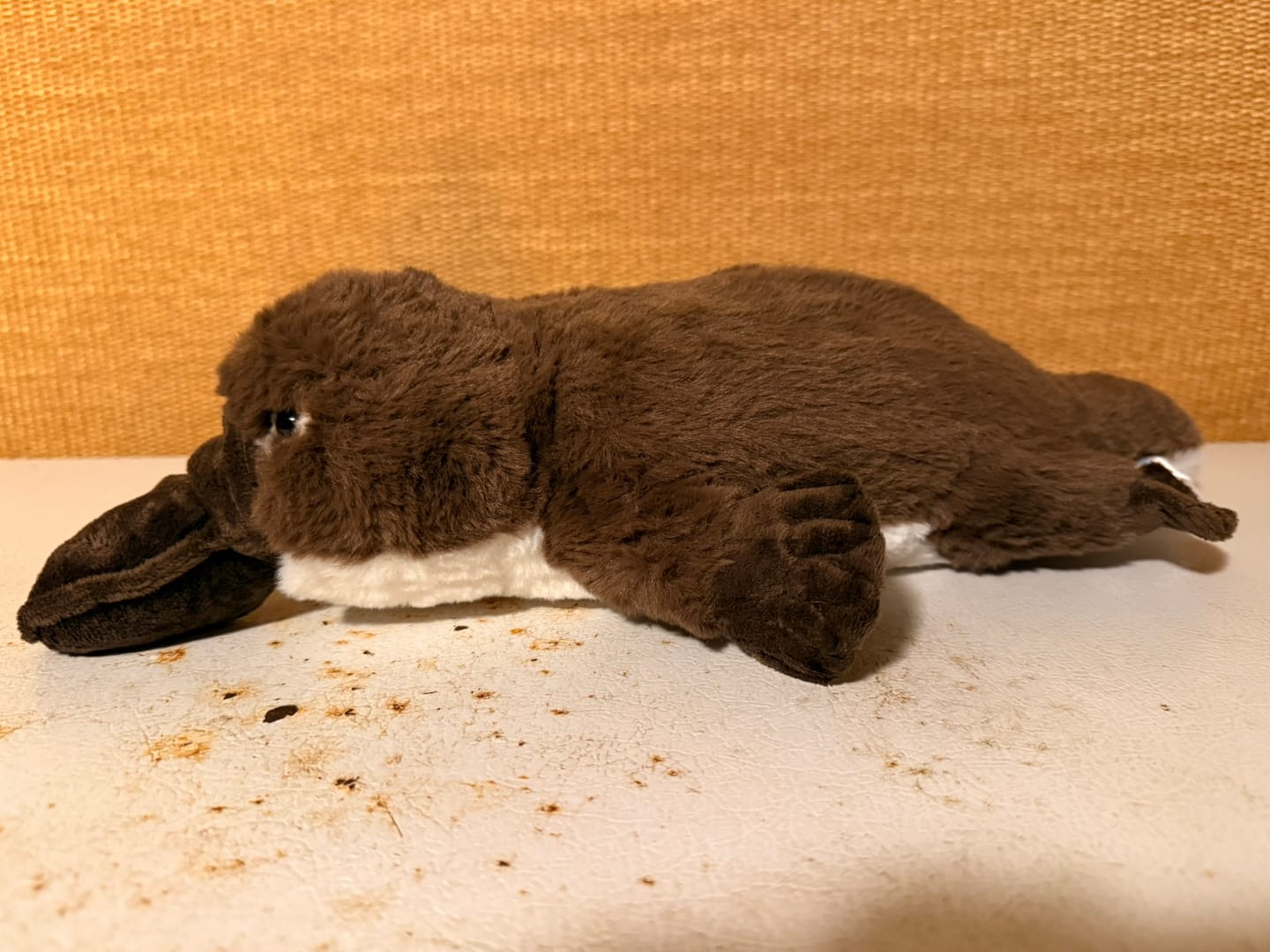Customer photo review of Duckbill Platypus Soft Stuffed Plush Toy