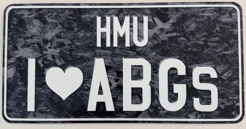Customer photo review of Custom Japanese License Plate - Vanity & Magnetic Cover