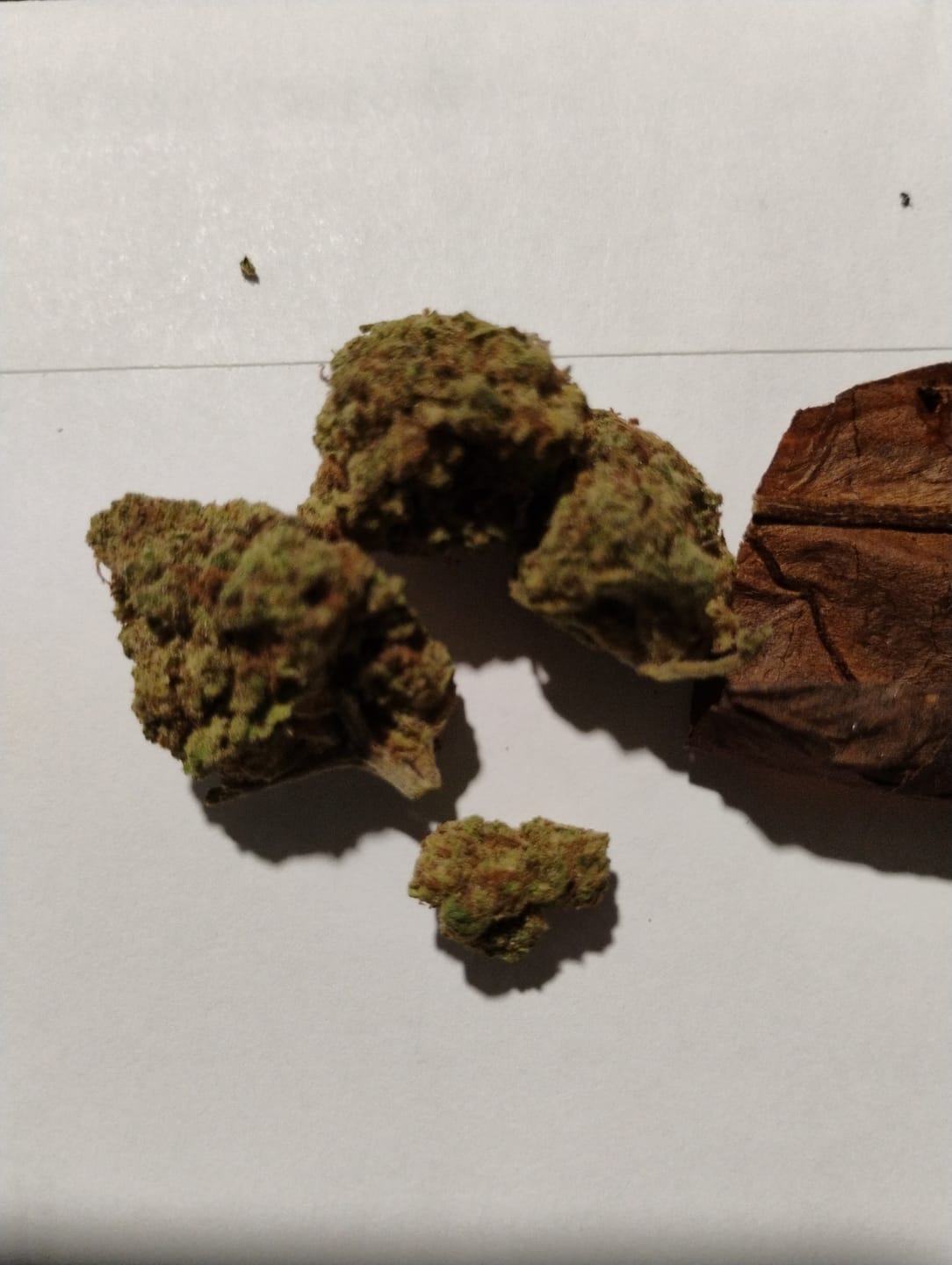 Customer photo review of Snake Venom THCA Flower