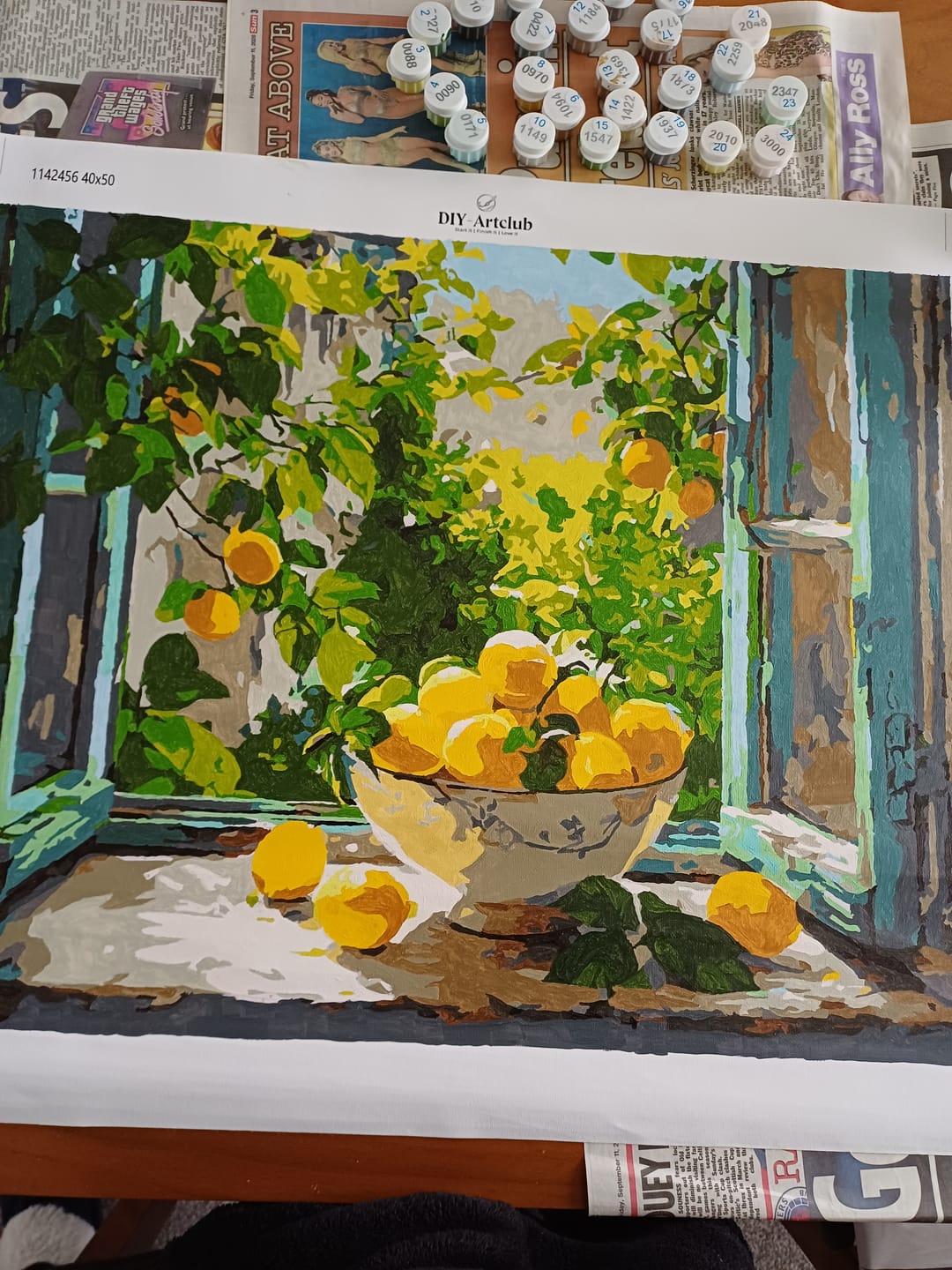 Customer photo review of Lemon Bowl by the Window | Paint by Number