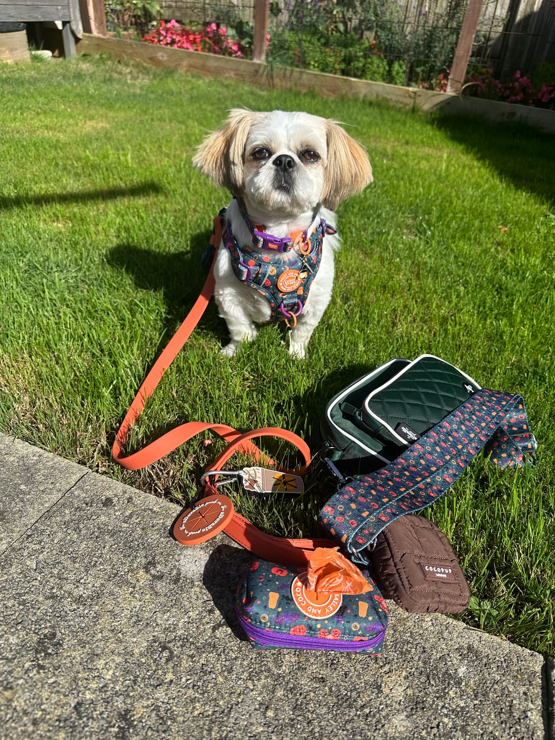 Customer photo review of Spellbound Autumn Strap for Dog Walking Bag