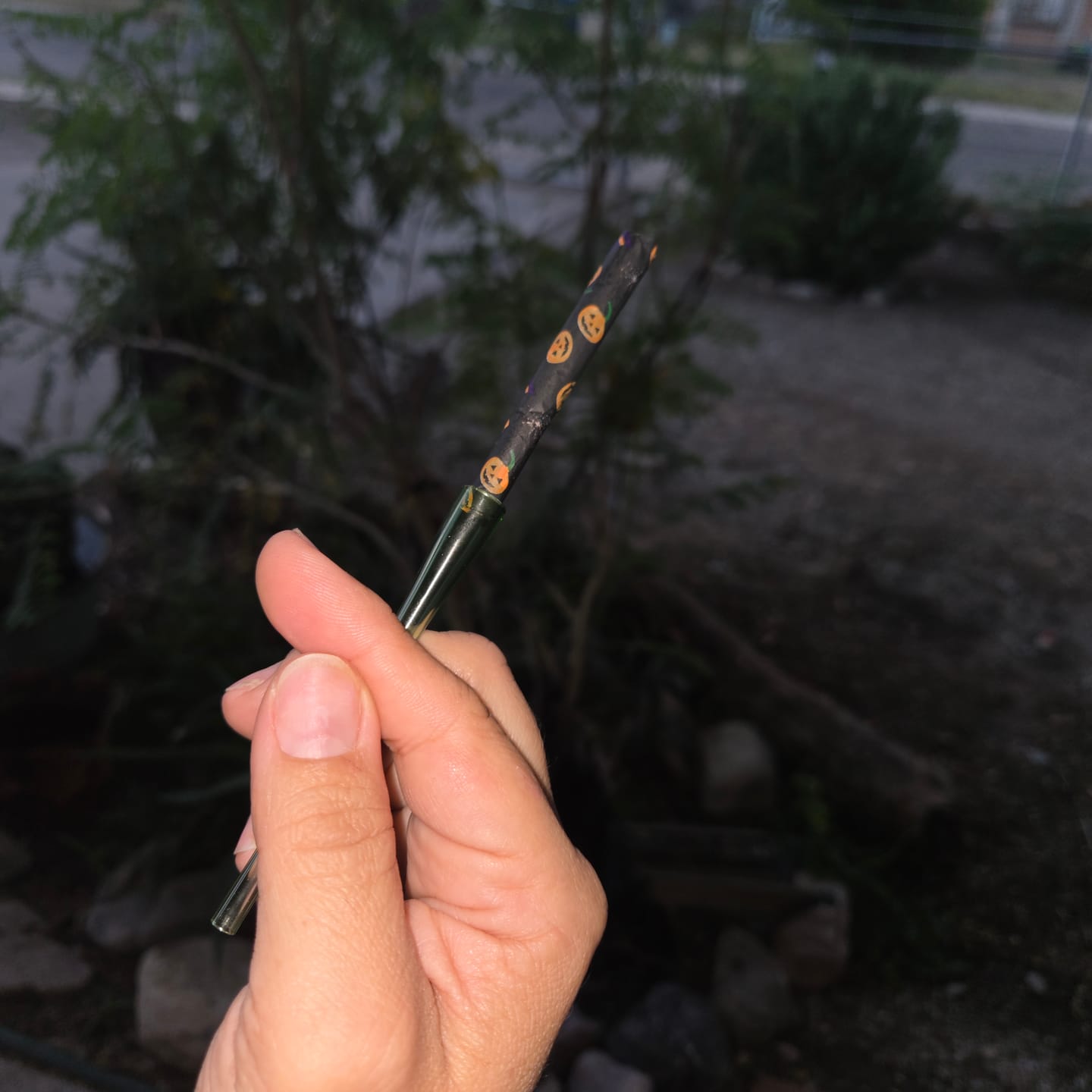 Customer photo review of HALLOWEEN ROLLING PAPERS